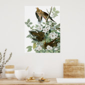 Poster Dove en deuil, John James Audubon Fine Art (Cuisine)