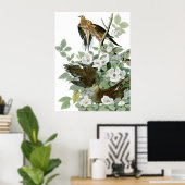 Poster Dove en deuil, John James Audubon Fine Art (Bureau à domicile)