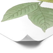 Poster Dove en deuil, John James Audubon Fine Art (Coin)