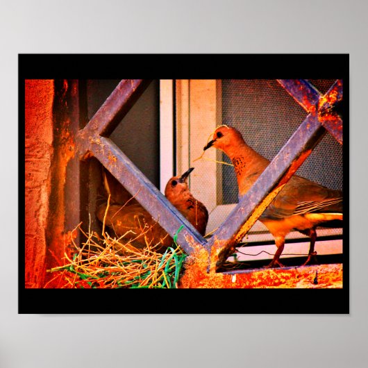 Poster Dove Romance (Devant)