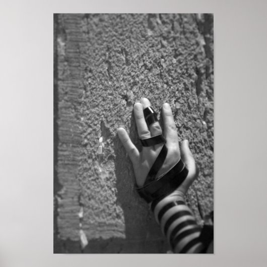 Poster Doven dans le Kotel (Devant)