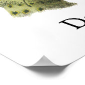 Poster Downy Woodpecker - John Audubon (Coin)