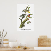 Poster Downy Woodpecker - John Audubon (Cuisine)