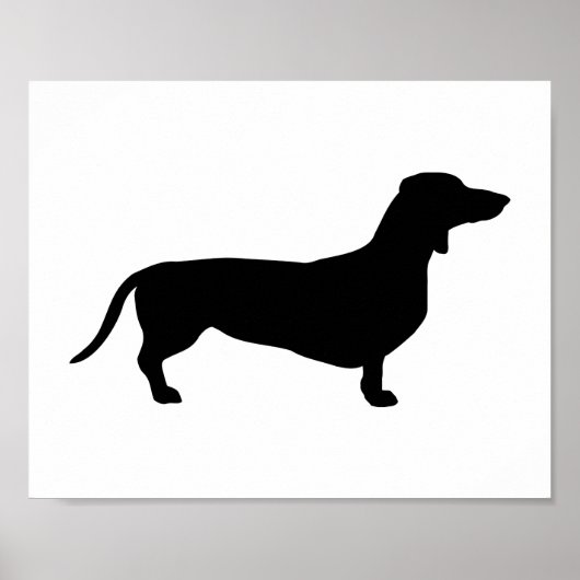 Poster Doxie (Devant)