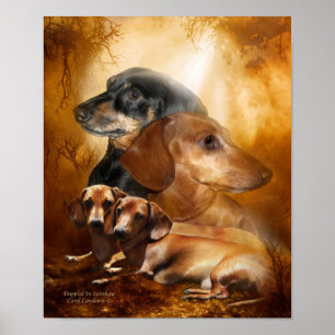 Poster Doxies - tachetés dans l'affiche/copie d'art de