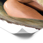 poster DR.035 Golden Retriever (Coin)