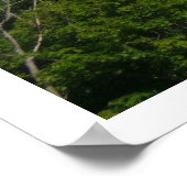 Poster DR.1 239/17 En Finale ! (Coin)