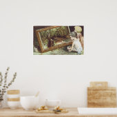 Poster Dr Kilmers Racine du marais (Cuisine)