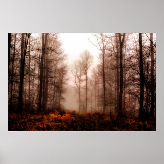 Poster Drac red foggy winter snowless forest (Devant)