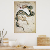 Poster Draco et Ursa Minor (Cuisine)