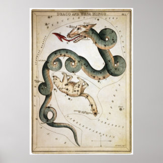 Poster Draco et Ursa Minor