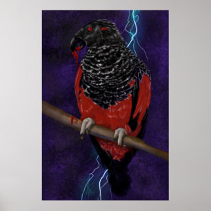 Poster Dracula Parrot