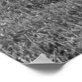 Poster Drag vintage - Wagon de Dodge 1962 - Nemesis (Coin)