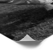 Poster Dragan Mance (Coin)