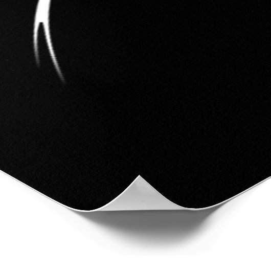 Poster Dragon (Coin)