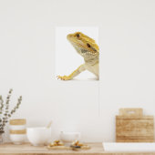 Poster Dragon à oreilles (Pogona Vitticeps) (Cuisine)