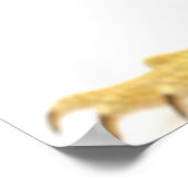 Poster Dragon à oreilles (Pogona Vitticeps) (Coin)