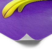 Poster Dragon Bébé coloré (Coin)