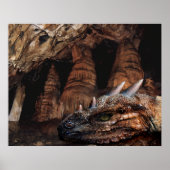 Poster Dragon cave (Devant)