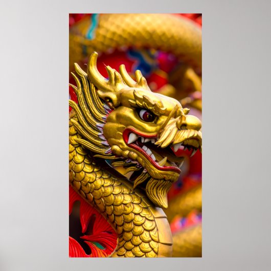 Poster Dragon Chinois (Devant)