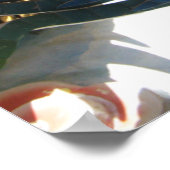 Poster Dragon chinois (Coin)