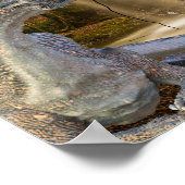 Poster Dragon de bronze avec la Reine fée elfe (Coin)