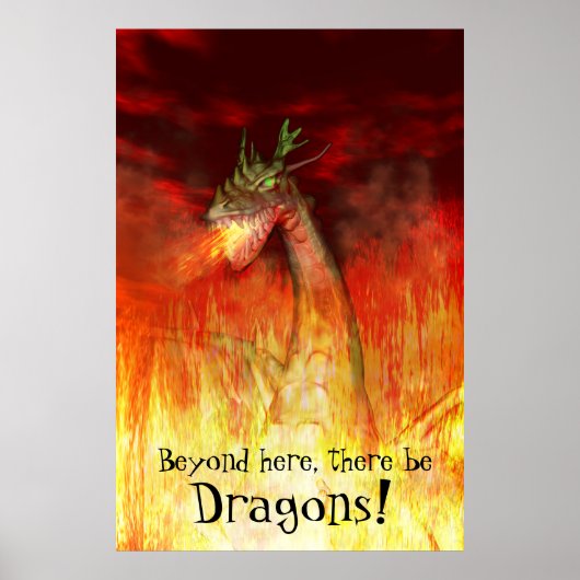 Poster Dragon de feu (Devant)