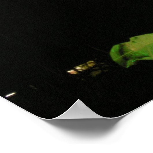 Poster Dragon de glace (Coin)