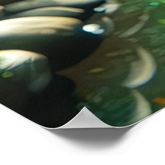 Poster Dragon de jardin enchanté (Coin)