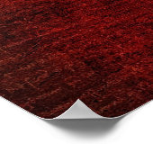 Poster Dragon de la mer Rouge (Coin)