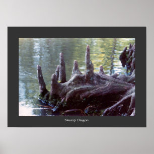 Poster Dragon de marais