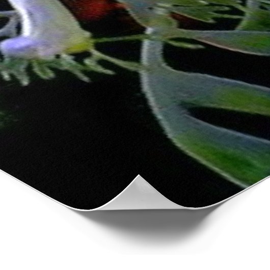 Poster Dragon de mer verdoyant (Coin)