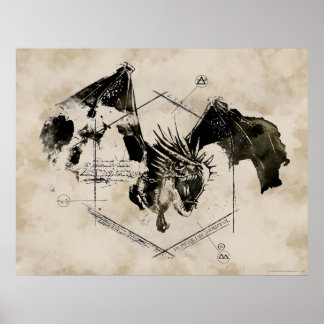Poster Dragon de Queue de Corne Hongrois