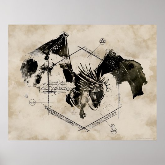 Poster Dragon de Queue de Corne Hongrois (Devant)