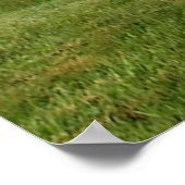 Poster Dragon de Stonehenge (Coin)