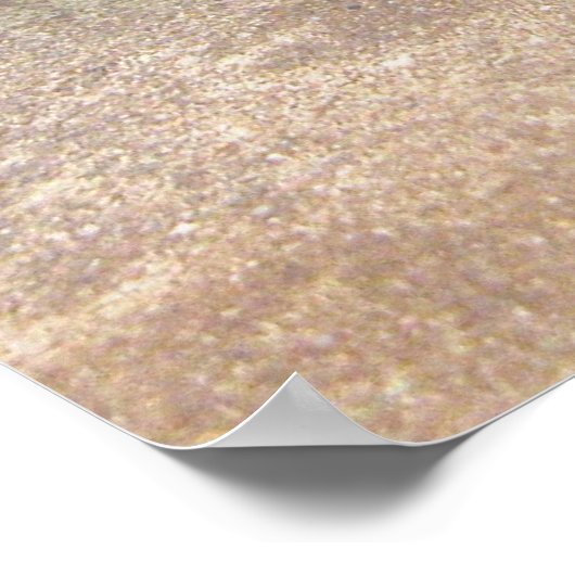 Poster Dragon d'eau (Coin)