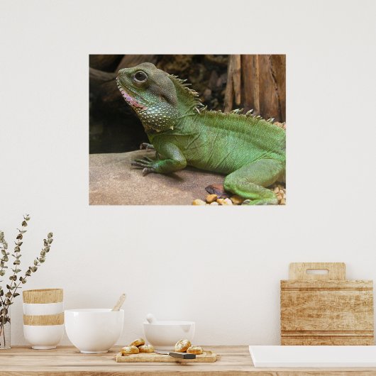 Poster Dragon d'eau (Cuisine)