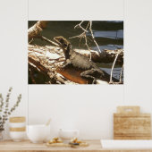 Poster Dragon d'eau (Cuisine)