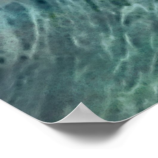 Poster Dragon d'eau chinois (Coin)