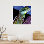 Poster Dragon d'eau chinois (Cuisine)