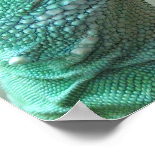 Poster Dragon d'eau chinois (Coin)