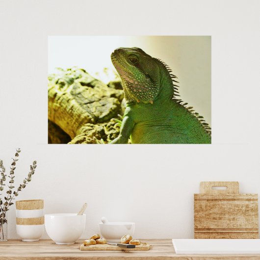 Poster Dragon d'eau chinois (Cuisine)