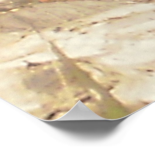 Poster Dragon d'eau de l'Est (Coin)