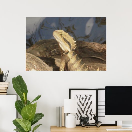 Poster Dragon d'eau de l'est australien (Bureau à domicile)