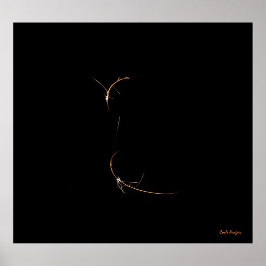 Poster Dragon dormant (Devant)