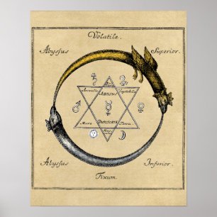 Poster Dragon et serpent ouroboros mandala