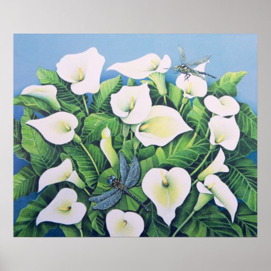 Poster Dragon Flies (Devant)