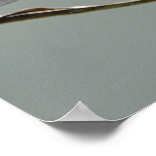 Poster Dragon Fly (Coin)