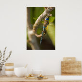 Poster Dragon Fly (Cuisine)