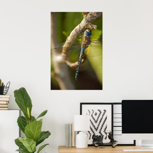 Poster Dragon Fly (Bureau à domicile)